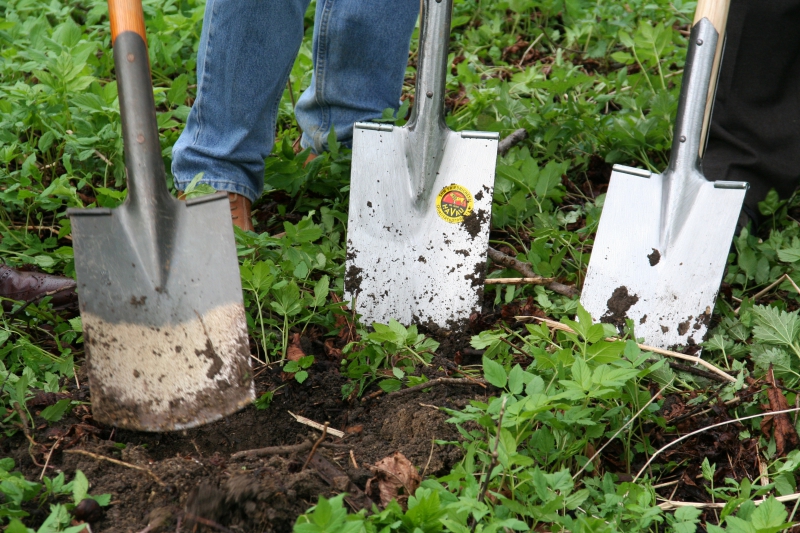 pepiniere-BRAS-min_work-lawn-flower-tool-green-backyard-1103633-pxhere.com